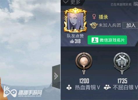 和平精英辅助软件大全
